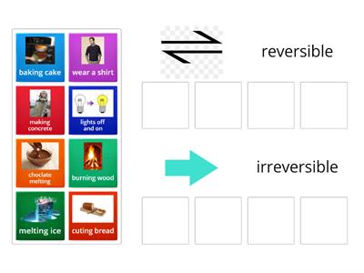 reversible and irrversible