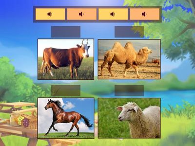 Сәйкестендіру 