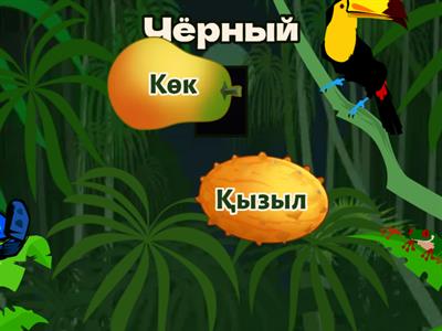 Қазақ тілі 1 сынып