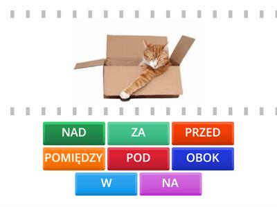 PRZYIMKI 