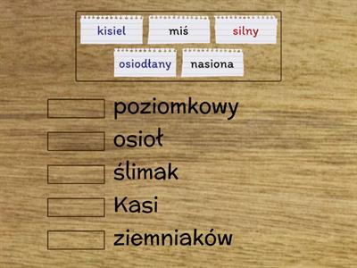 Zestawienia dwuwyrazowe - [ś, ź]. Dopasuj do siebie wyrazy, tak by powstały wyrażenia.