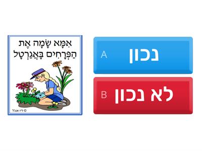 נכון\ לא נכון- משפטים בחיריק של ליז אנג'ל