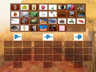 Місце Р у слові