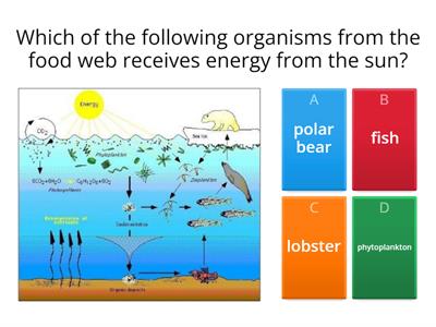 5TH GRADE SCIENCE- 1