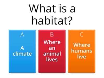 Unit 6 - Quiz - 3ºEPO Science