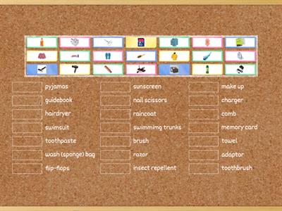 Things to pack English File Intermediate Plus