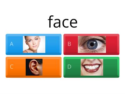  Face -1