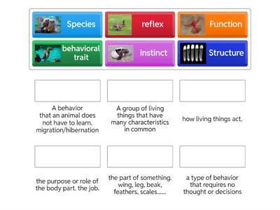 5th grade 11.1 and 11.1 vocab 