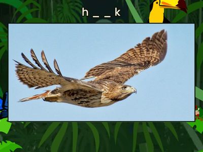 myView 1.2 - U2W5 - Vowel Sound in ball