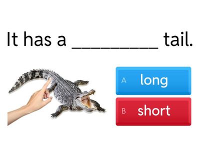 1A Ch.6 This/That/These/Those