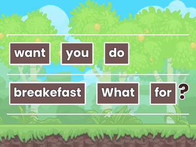 "What / Where" questions 3rd grade 2