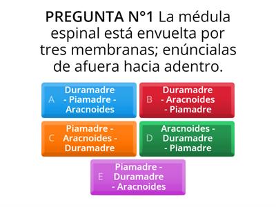 Prueba de Sistema Nervioso