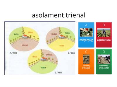 Chestionar ocupațiile omului medieval