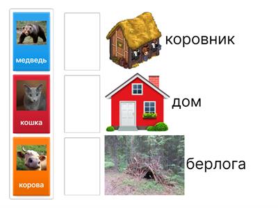 найди животным свой дом