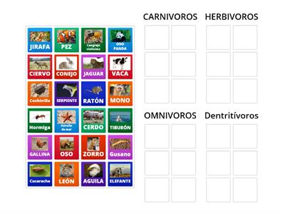  CLASIFICACIÓN CARNÍVOROS, HERBÍVOROS, OMNÍVOROS, DENTRITIVOROS