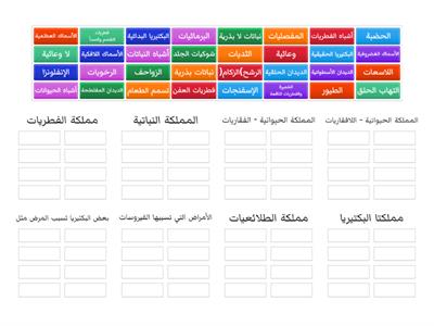 - تصنيف المخوقات الحية- عمل الطالب : عبدالرحمن خالد خامس١