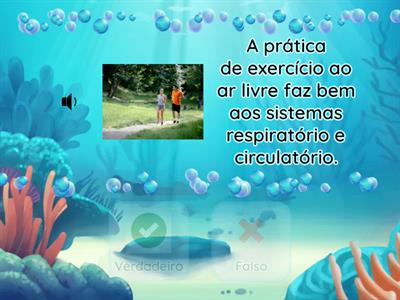 3- Saúde do corpo humano - Luísa Alves