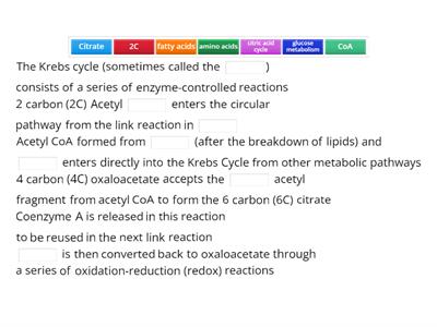 CAX KS5  The Krebs Cycle