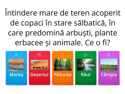 Științe ale naturii_Titlul lecției