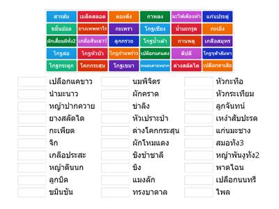 ตัวยาสรรพคุณเสมอ