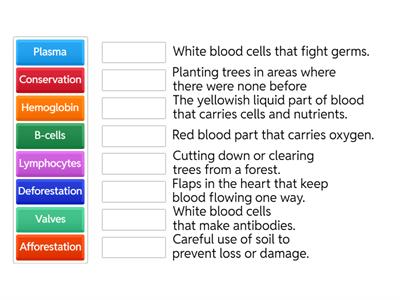 SCIENCE- RESPIRATORY SYSTEM AND SOIL