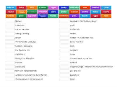 Lage- & Richtungsbezeichnungen (+Grundlagen)