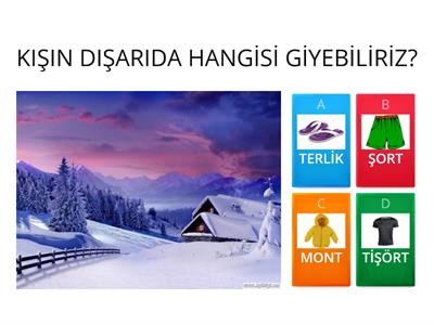 MEVSİMLERLE İLGİLİ SORULAR (OKUL ÖNCESİ )