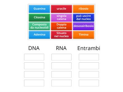 Differenze  DNA e RNA