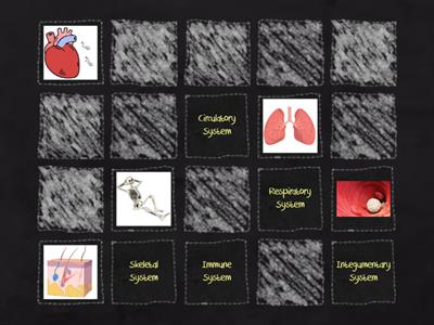 Body Systems and Organs