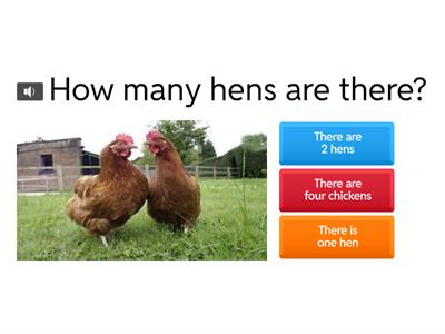 How many animals ...? / There are...