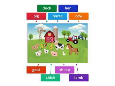 Farm Animals