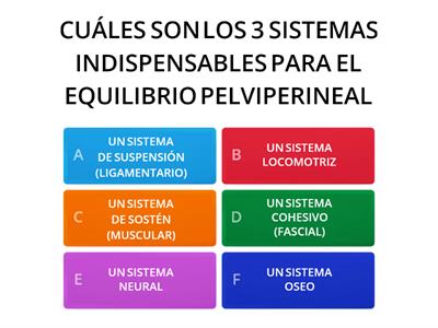 ANATOMÍA APLICADA A LA DANZA 4TO BASICO SUPERIOR A Y B SEGUNDO QUIMESTRE SEMANA 37