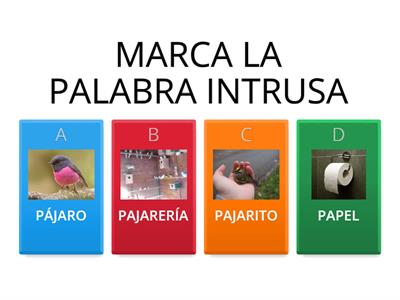 FAMILIA DE PALABRAS- Palabra intrusa