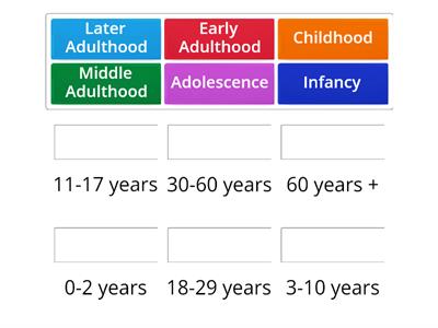 Life Stages of Development