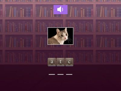  Lesson 1-2 new собери слова