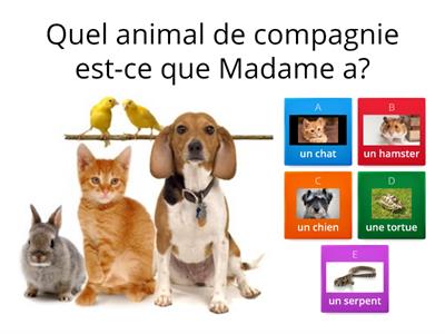 Les animaux de compagnie