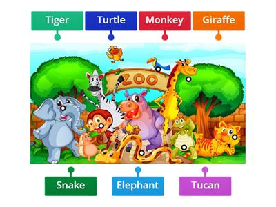 Zoo animals