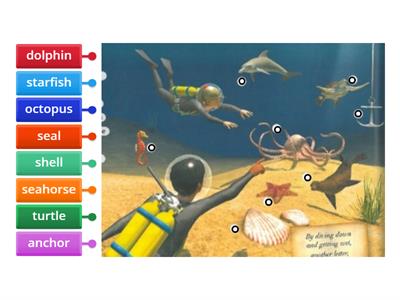  Under the sea diagram