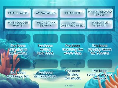 Present Perfect Continuous 10