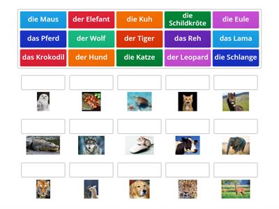 Tiere / Paul, Lisa & Co, Starter, Lektion 6