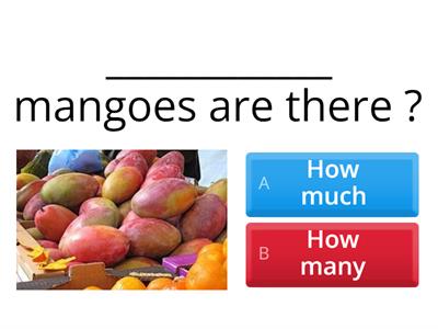 How much / How many QUIZ