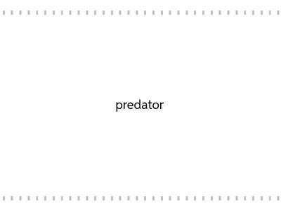 Animal Behavioral Adaptations