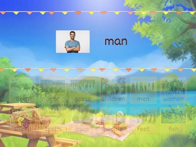 Plurals exceptions - match