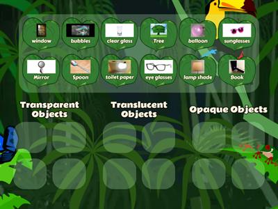 Transparent, Translucent, Opaque objects Jungle Theme