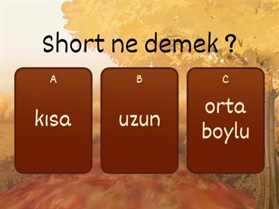 7. sınıf için oyun