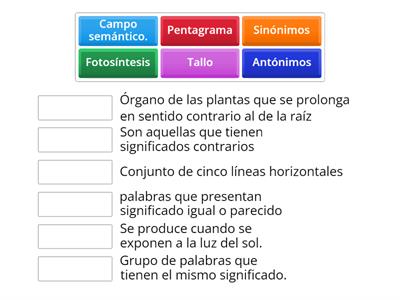 Educación Primaria.