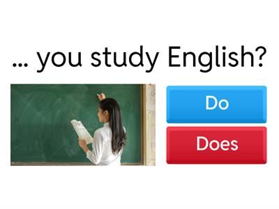 Do/Does ✏️