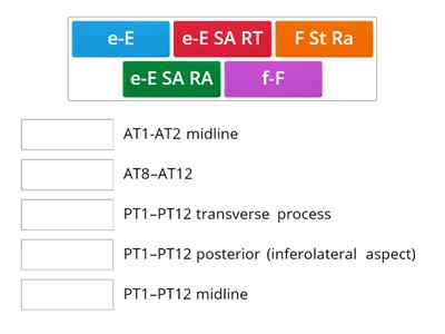 Ant/Post Thoracic CS