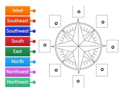 Team Spirit- Compass Rose