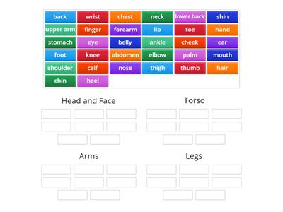 Parts of the Body - Group Sort